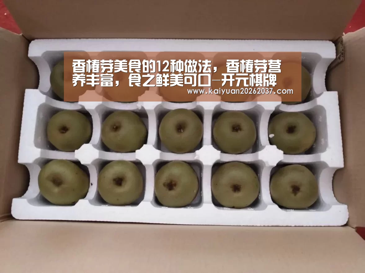 开元电竞