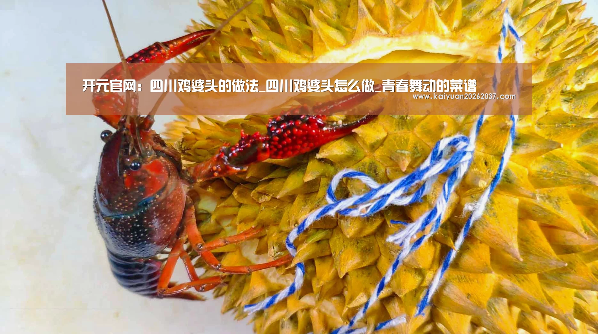 开元官网:四川鸡婆头的做法_四川鸡婆头怎么做_青春舞动的菜谱(图3) 开元电竞